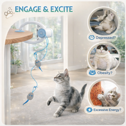 StellaMeow™ Toy