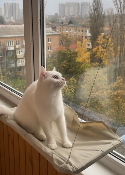 Stella™ Cat Window Hammock