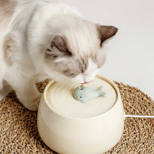 Stella™ Ceramic Cat Water Fountain